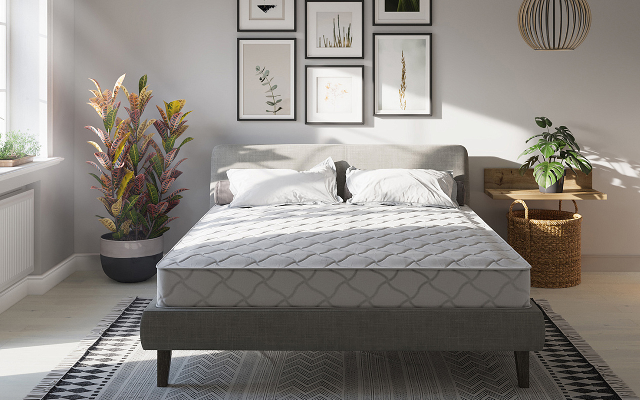 Evita Беспружинные Line Plus Contour фото 4